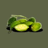 Spine Gourd (Kantola)