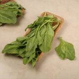 Romaine Lettuce