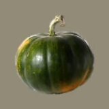 Green Pumpkin (Hara Kaddu)
