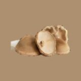 Shiitake Mushroom