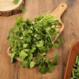 Mint Leaves (Pudina)
