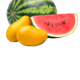 Kiran Watermelon (Tarbuj)